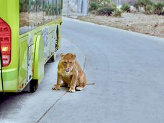 -西安秦岭野生动物园