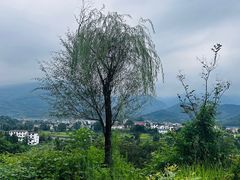 -萍乡武功山风景名胜区