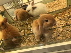 -龙猫仔乐园(惠福东路店)