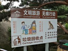 -崂山仰口游览区