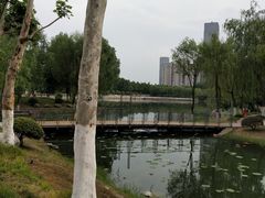 -后襄河公园