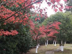 -白马涧龙池景区