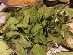-一叶一世界•素食餐厅(新光天地店)