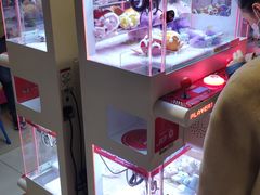 -汤姆熊欢乐世界(罗斯福店)