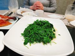 -新南华大酒店(广中店)