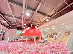 -宝燕乐园(春申店)