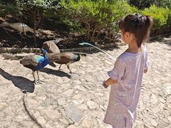 -燕塞湖鸟语林景区