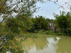 -苏家围·东江画廊旅游景区