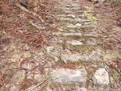 -雁荡山雁湖景区