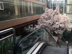 -嘉悦汗蒸时代(曙光路店)