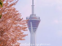 -红星桥(地铁站)