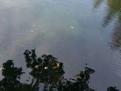 -晓港公园