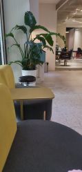 -PE SALON
