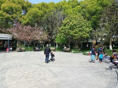-大关公园