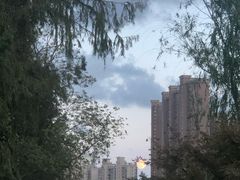 -星巴克臻选(上海长风大悦城店)