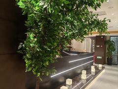-东方饺子王臻味餐厅(新嘉坡城店)