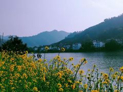 -新安江山水画廊风景区