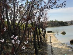 -美兰湖景区