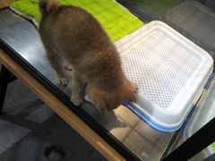 -宠物世家(仲盛世界商城店)