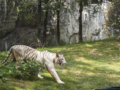 -北京野生动物园