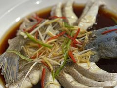-煲来饱去冷水鱼