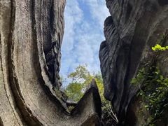 -梭布垭石林景区