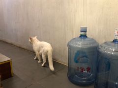 -七七家的糖水店(南湾街1号店)