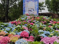 -武汉园博园(武汉自然博物馆)