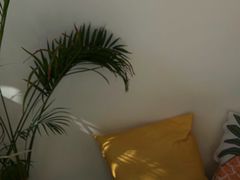 -五进制 Coffee Shop