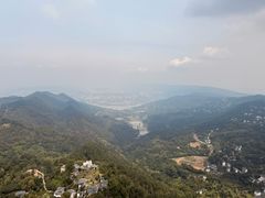 -大金鹰园