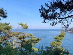-棒棰岛宾馆景区