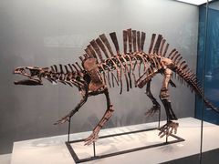 -湖南省地质博物馆