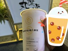 -丸摩堂鲜果茶(城南优品道店)