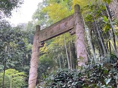-杭州黄龙洞