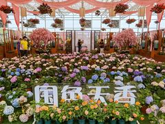 -盈香心动乐园