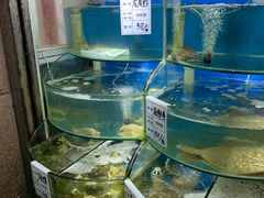 水产区-海之味海鲜大咖·家常菜