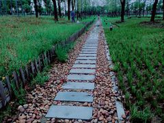 -汉江湾体育公园
