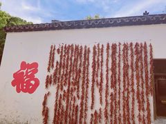 -同里国家湿地公园