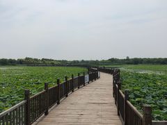 -天津东丽湖风景区