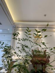 -U3美甲