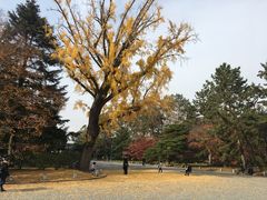 -京都御所
