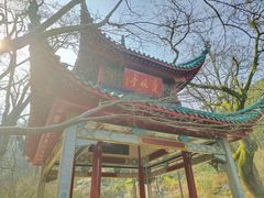 -岳麓山风景名胜区