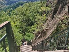 -六里坪国家森林公园