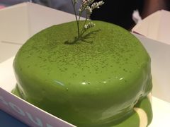 -狐狸和向日葵(北京路店)
