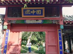 -桃花堤公园