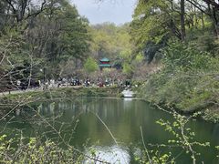 -岳麓山风景名胜区