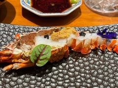 -月龍吟(朝龙汇店)