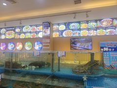 -韩记海鲜饺子(隆仁世家店)
