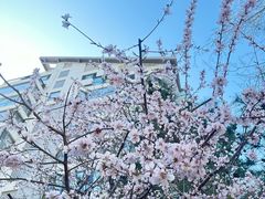 -月坛公园