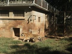 -昆明动物园